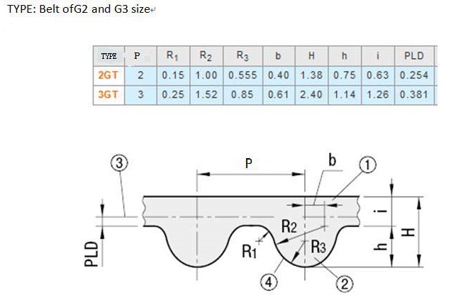 g2-and-g3-belt